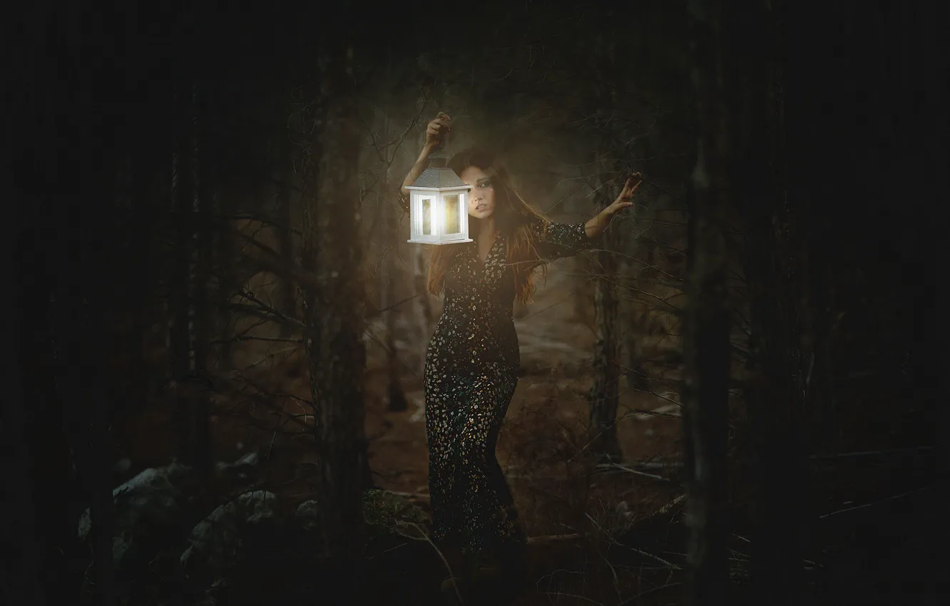 Фото обои лес, девушка, свет, темнота, фонарь