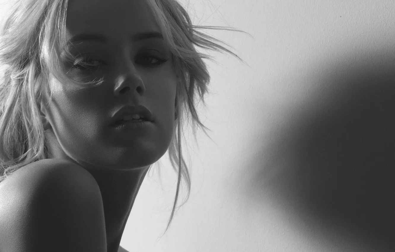 Фото обои взгляд, девушка, фото, актриса, models, amber herd