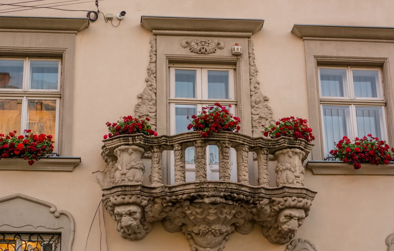 Фото обои окна, балкон, Архитектура, львы, Украина, Україна, Львов, Львів
