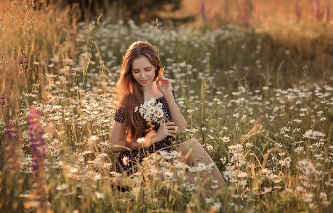 Фото обои поле, лето, девушка, цветы, природа, ромашки, платье, шатенка