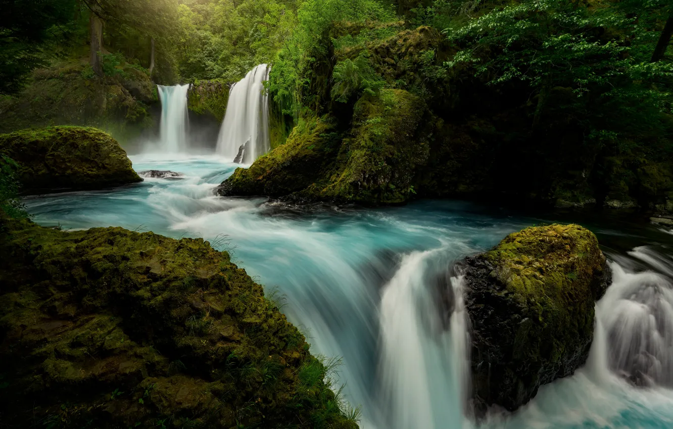 Фото обои лес, река, мох, водопады, Columbia River Gorge, Washington State, Little White Salmon River, Spirit Falls