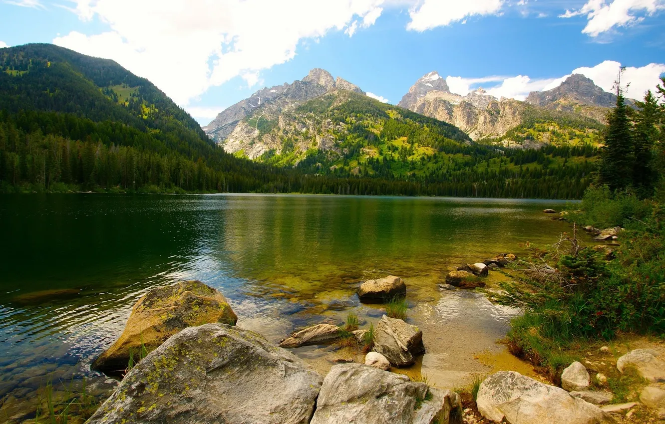 Фото обои water, mountains, stones, Lake, vegetation