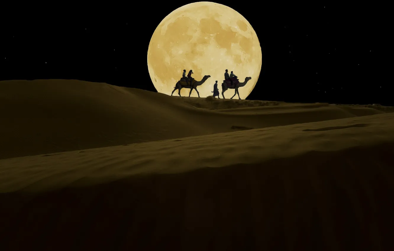 Фото обои ночь, луна, пустыня, верблюды