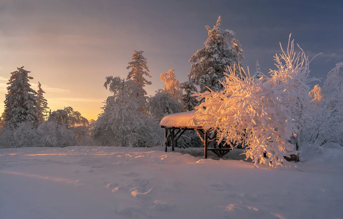 Фото обои зима, снег, деревья, пейзаж, закат, природа, беседка, Шарапов Андрей