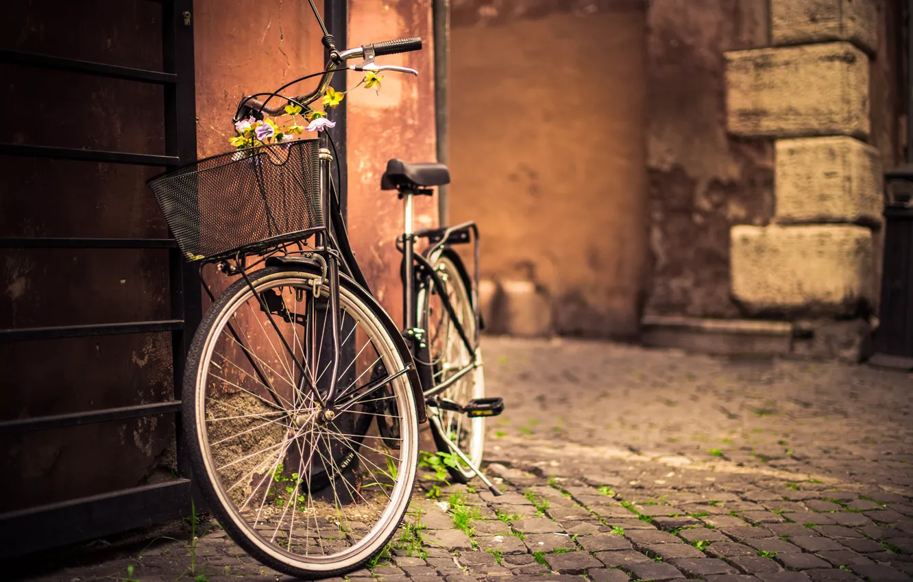 Фото обои дорога, цветы, велосипед, стена, корзина, брусчатка