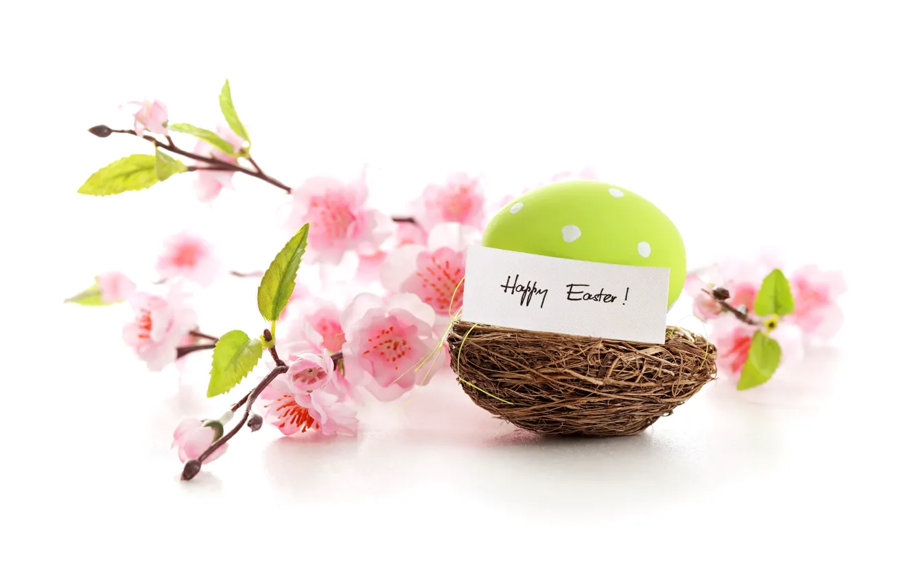Фото обои цветы, яйца, весна, пасха, пастель, happy, pink, blossom