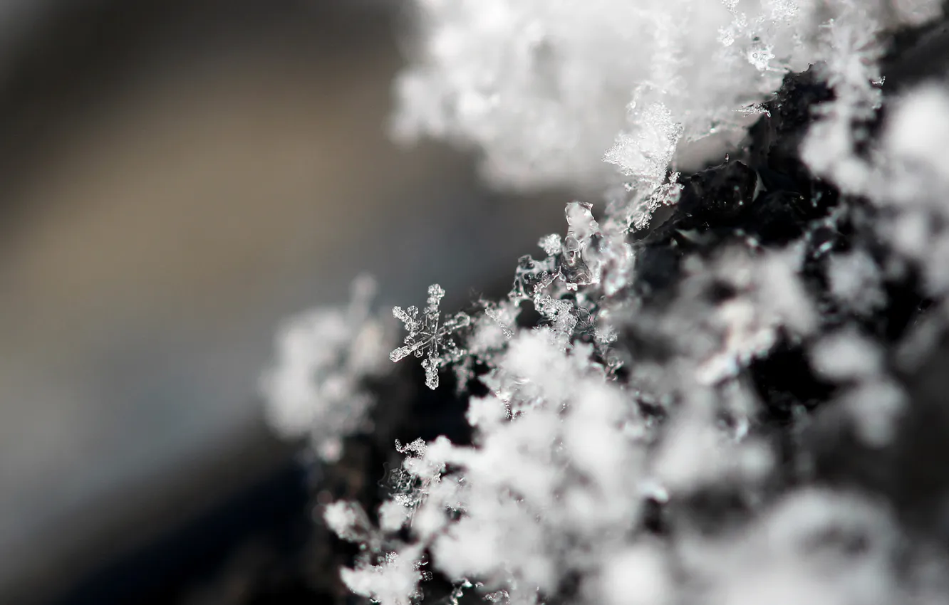 Фото обои иней, макро, снежинки, кристаллы