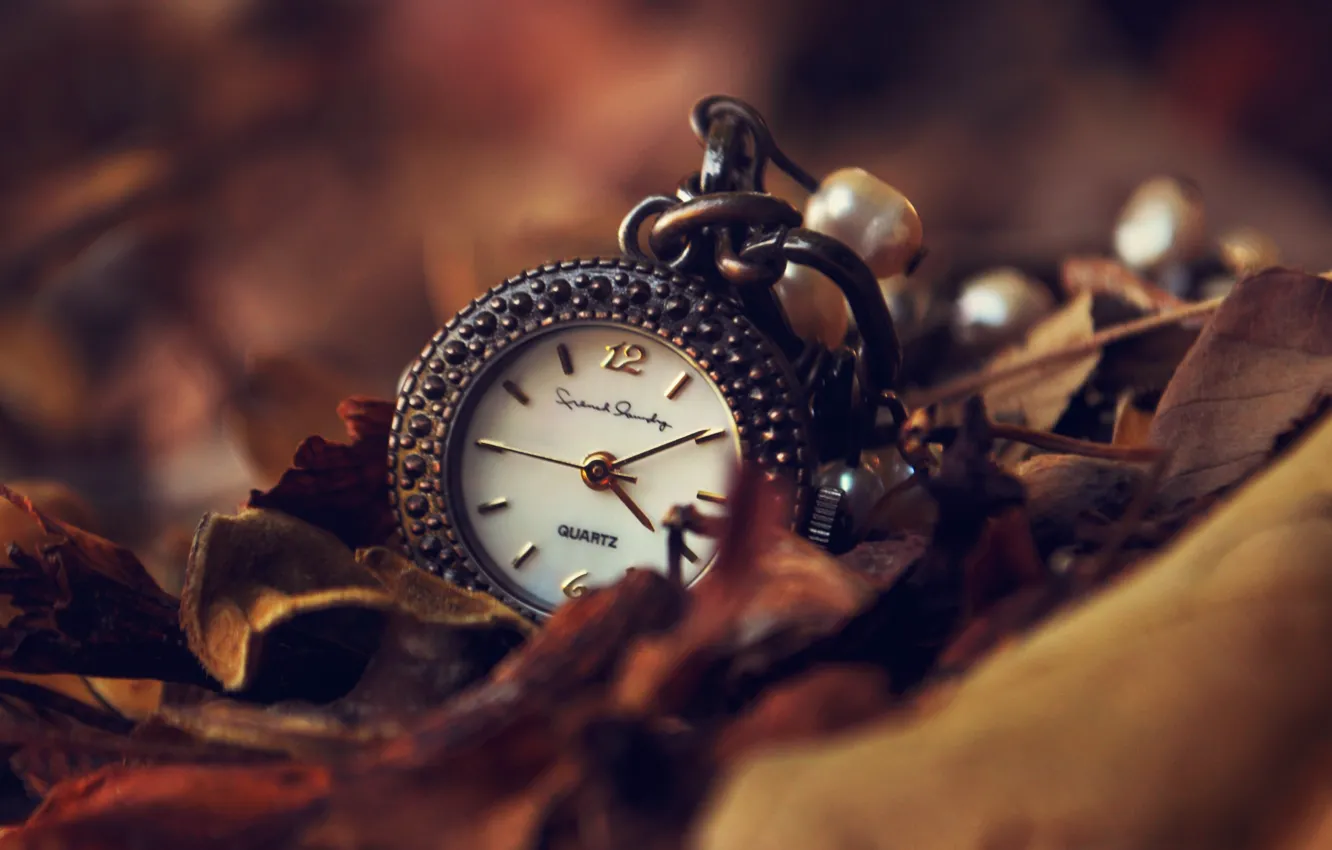 Фото обои осень, листья, стрелки, часы, циферблат, подвеска