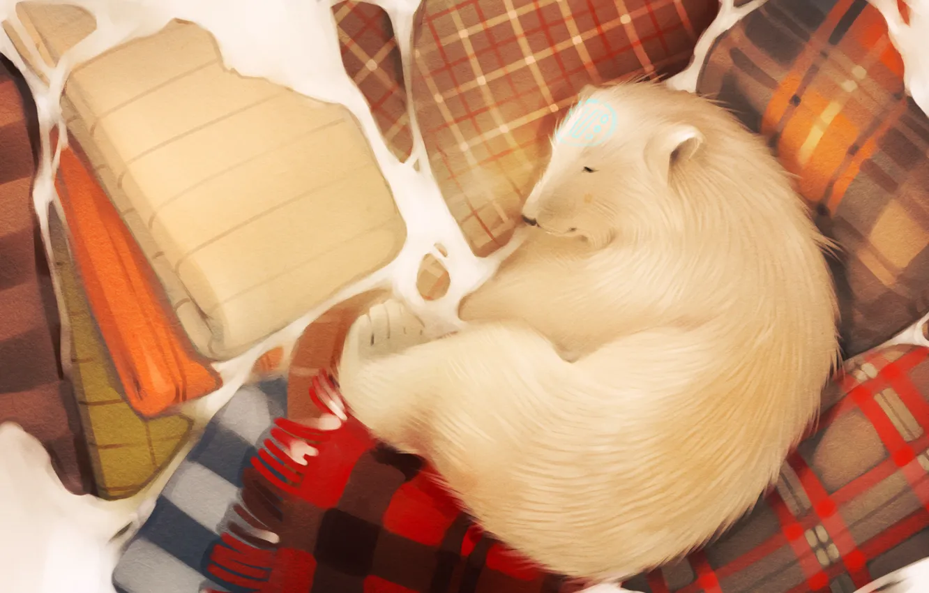 Фото обои сон, медведь, арт, спит, одеяло, белый медведь