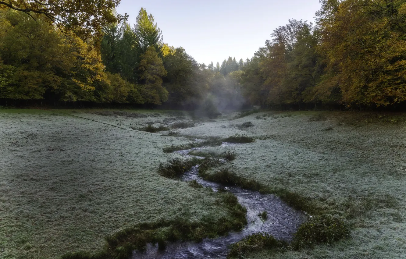 Фото обои природа, туман, речка