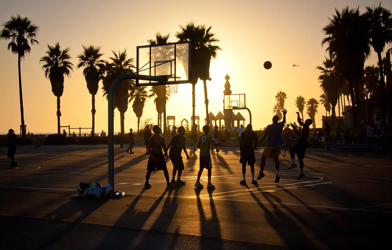 Фото обои summer, california, basketball, sunset, usa, los angeles, venice beach