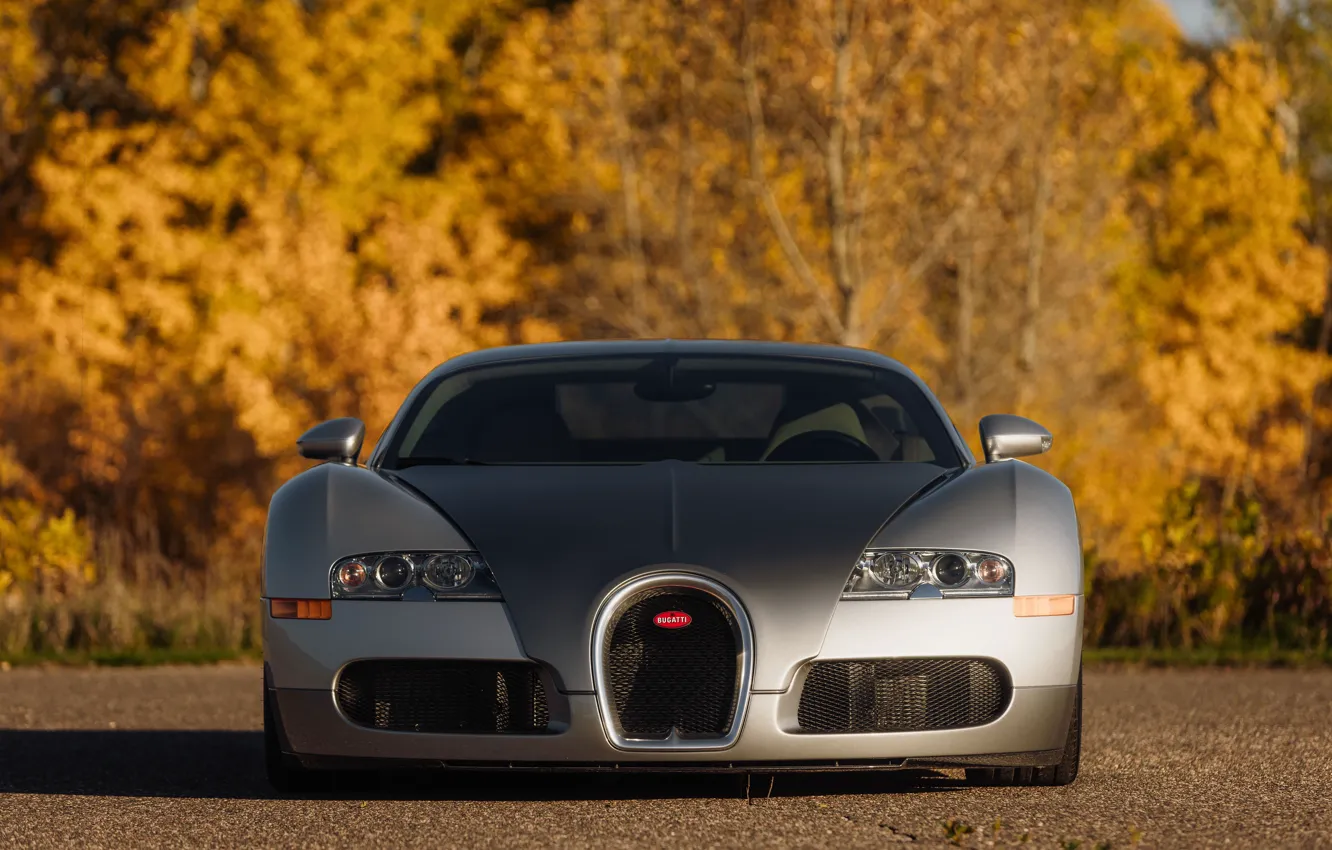 Фото обои Bugatti, Veyron, Bugatti Veyron, front, 16.4