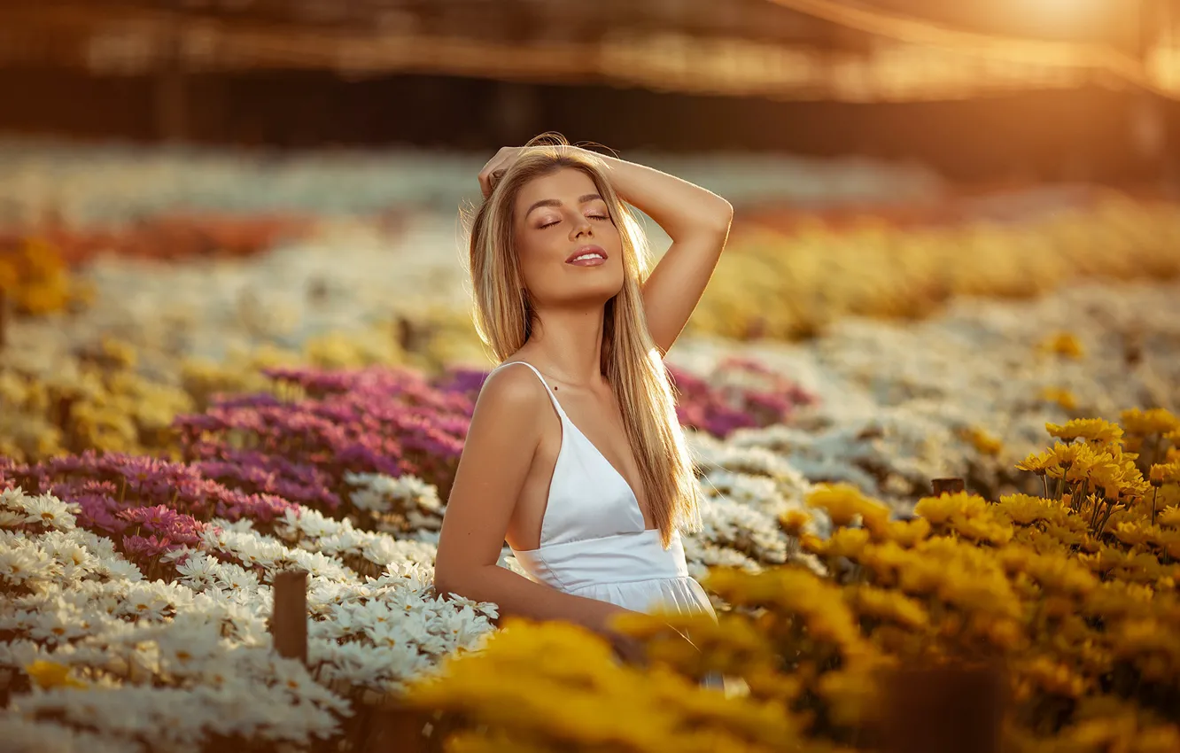Фото обои поле, лето, девушка, радость, цветы, улыбка, Mauro Lainetti
