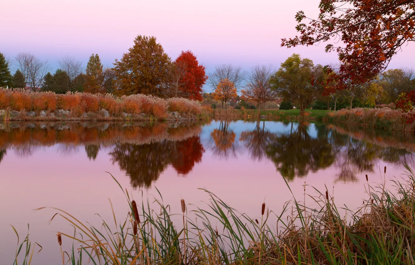 Фото обои осень, небо, трава, деревья, пруд
