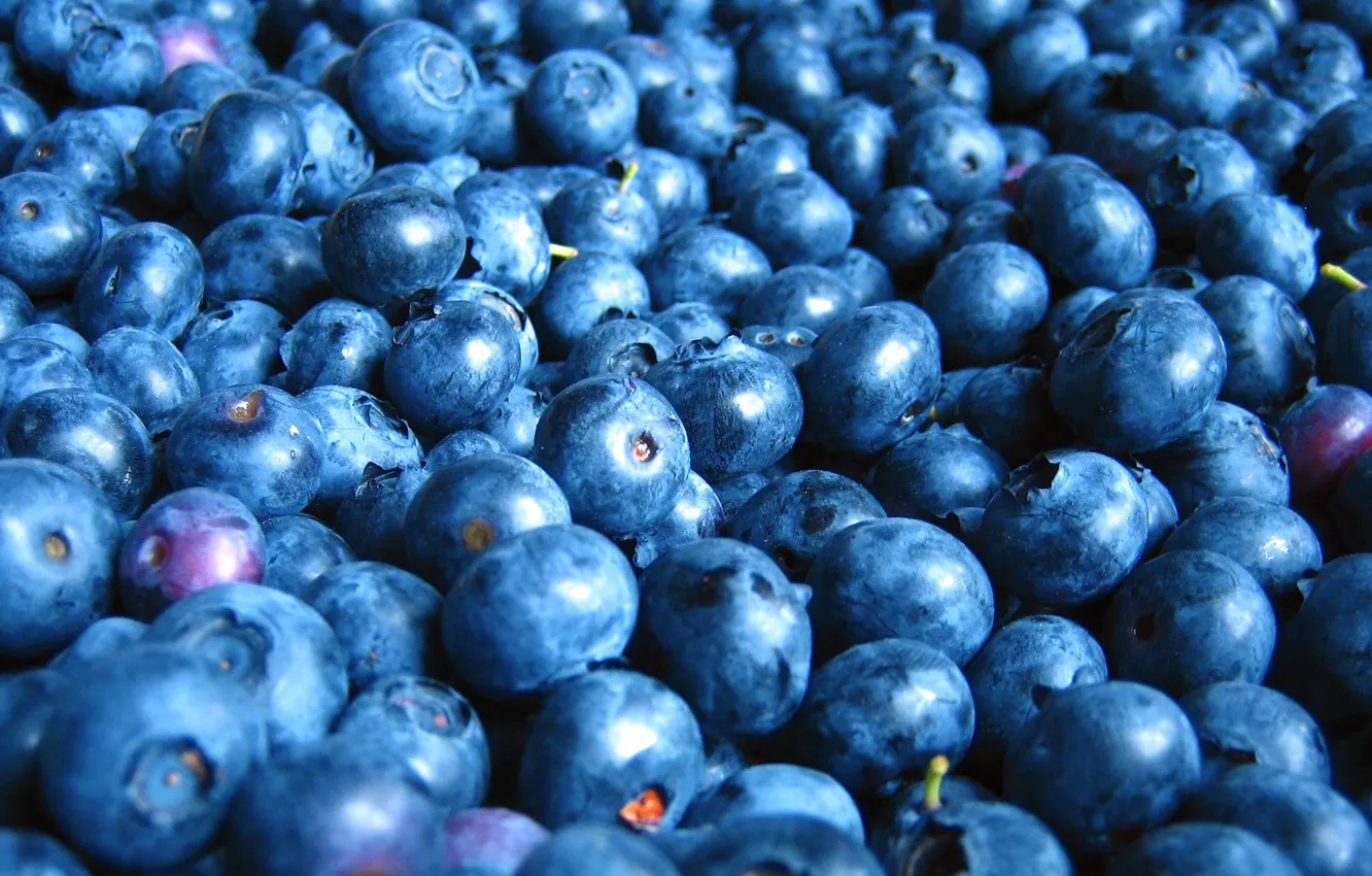 Фото обои berry, food, blueberry
