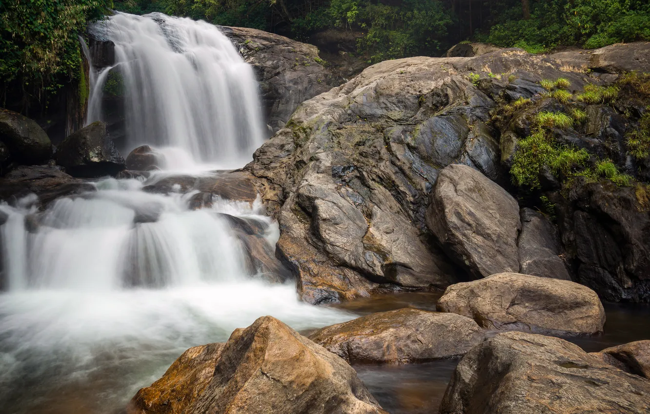 Фото обои природа, водопад, джунгли, India, Kerala