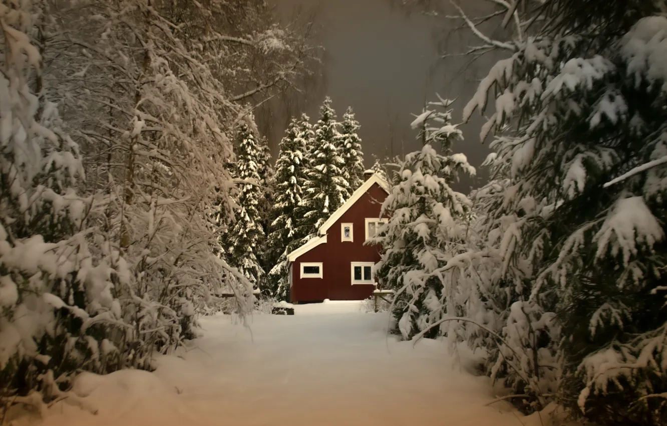 Фото обои зима, лес, снег, деревья, пейзаж, природа, дом, вечер