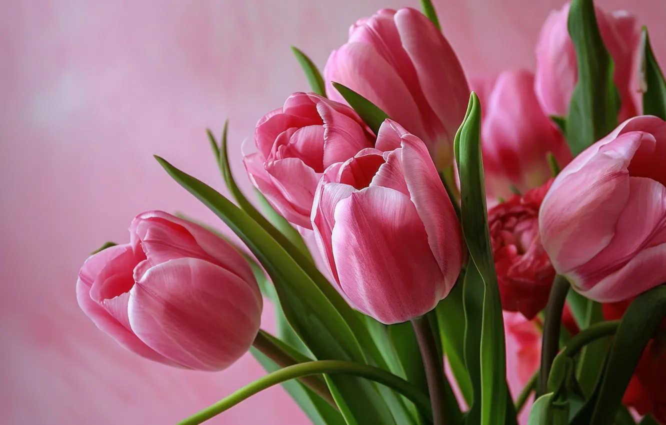 Фото обои цветы, праздник, букет, весна, тюльпаны, 8 марта, ИИ-арт, универсальный праздничный фон