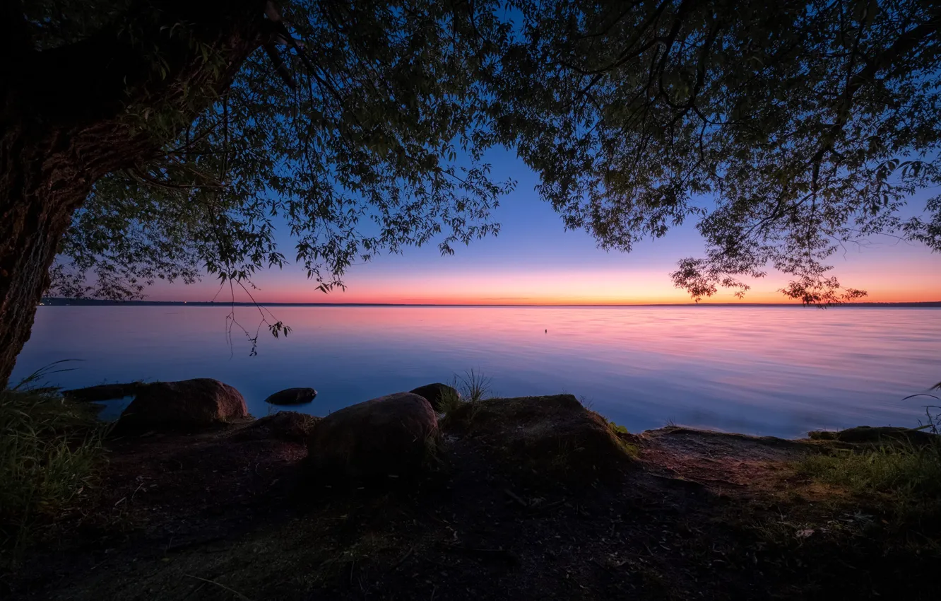 Фото обои пейзаж, ночь, природа, озеро, камни, дерево, берег, Андрей Чиж