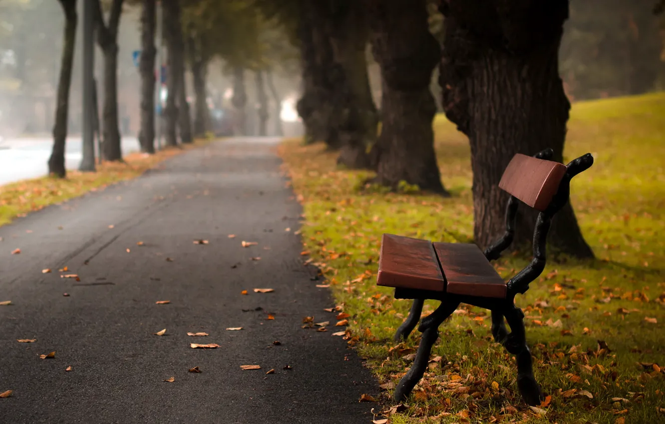 Фото обои город, улица, Autumn bench