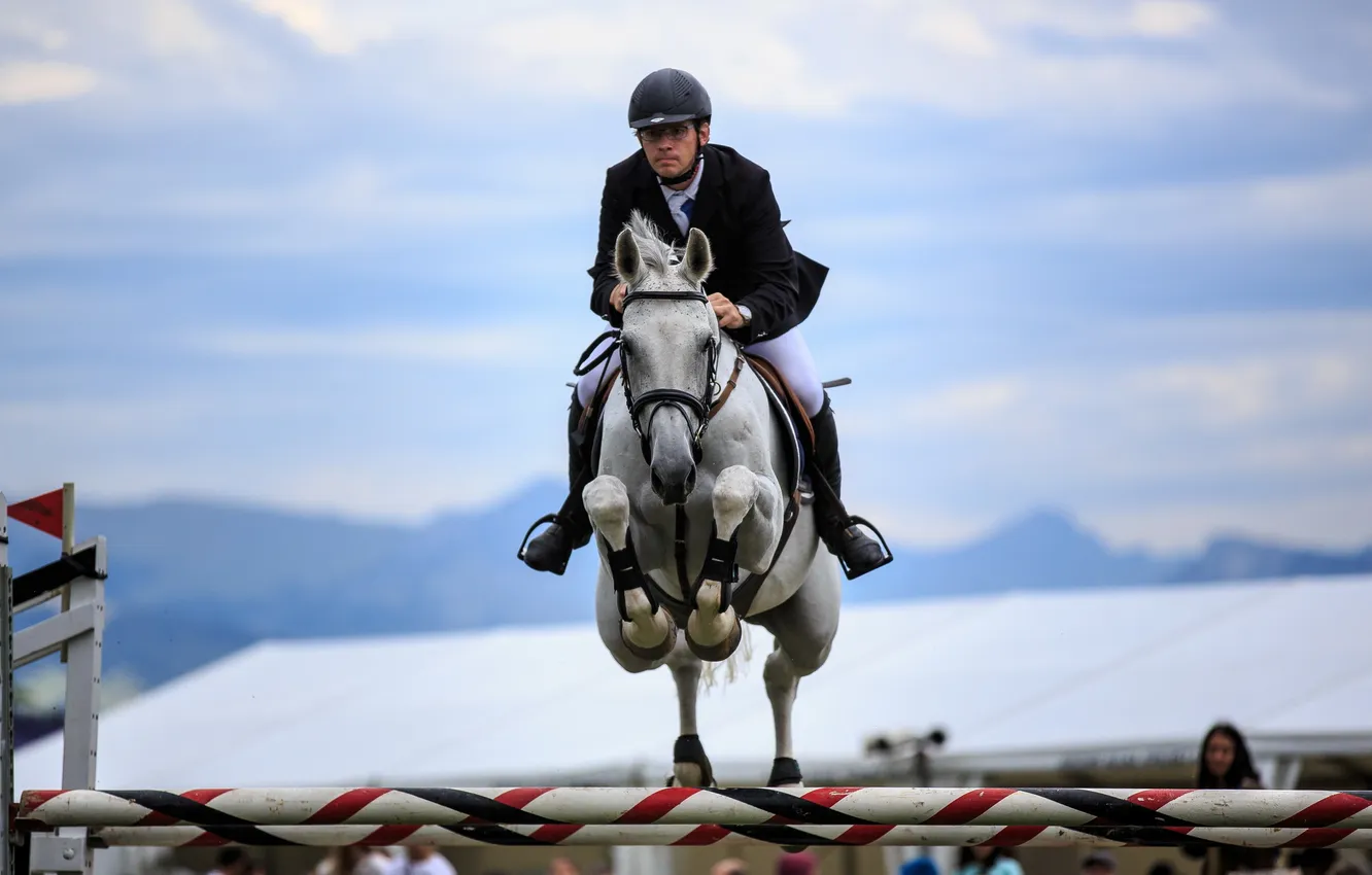 Фото обои конь, прыжок, спорт