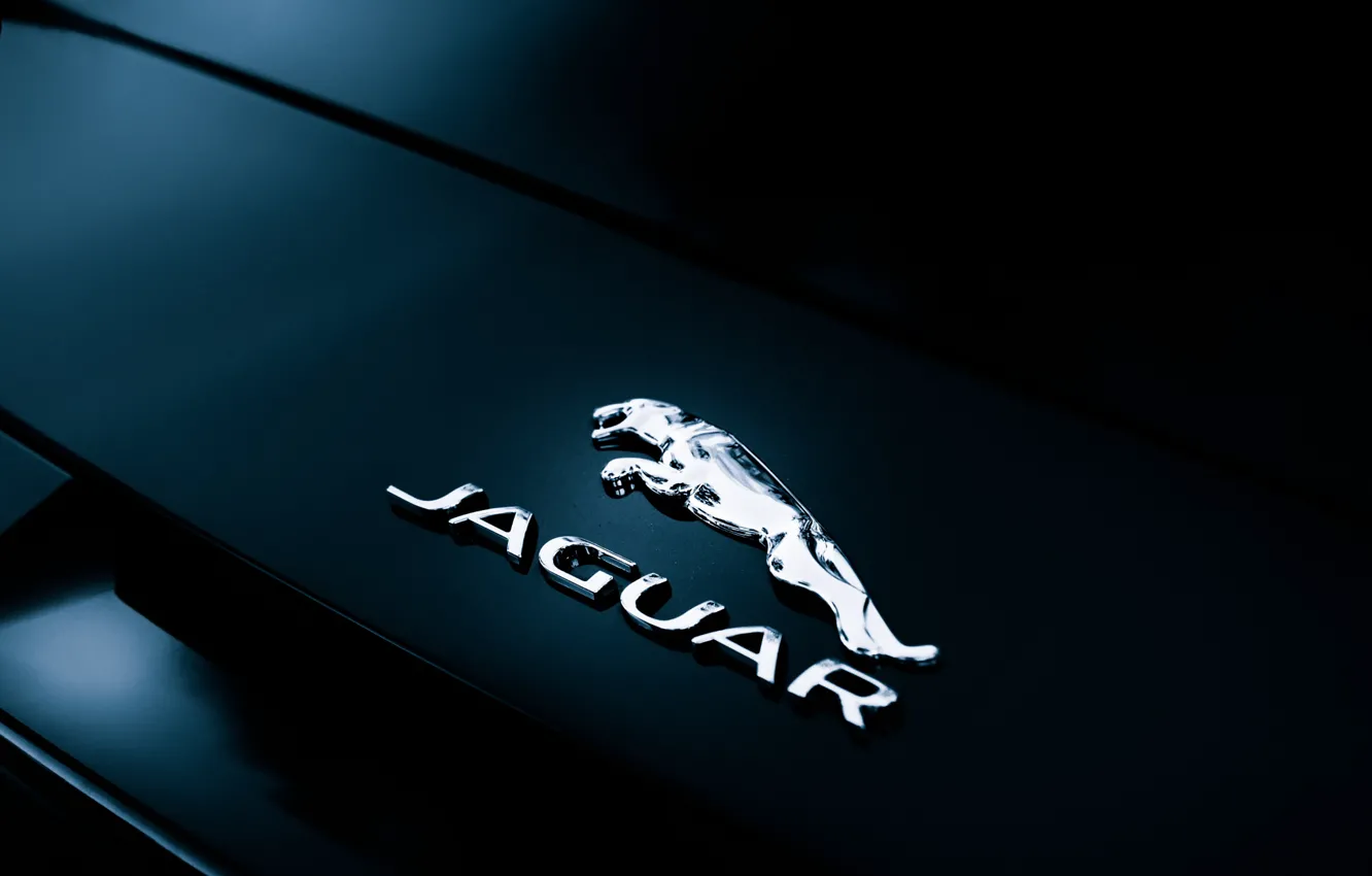 Фото обои Jaguar, шильдик, Convertible, F-Type, rear badge