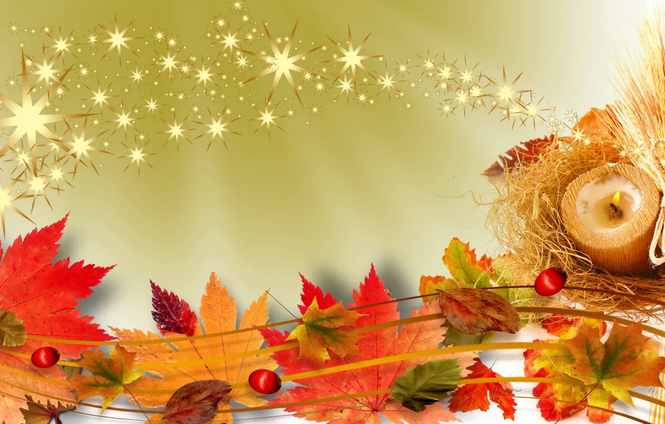 Фото обои осень, листья, коллаж, свеча, плоды, клен