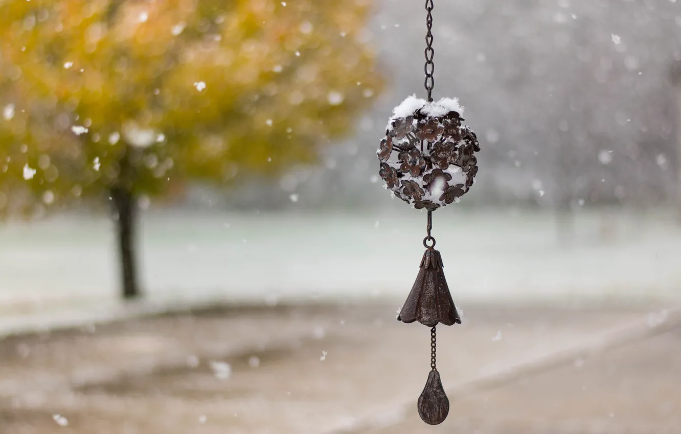 Фото обои снег, природа, колокольчик, боке