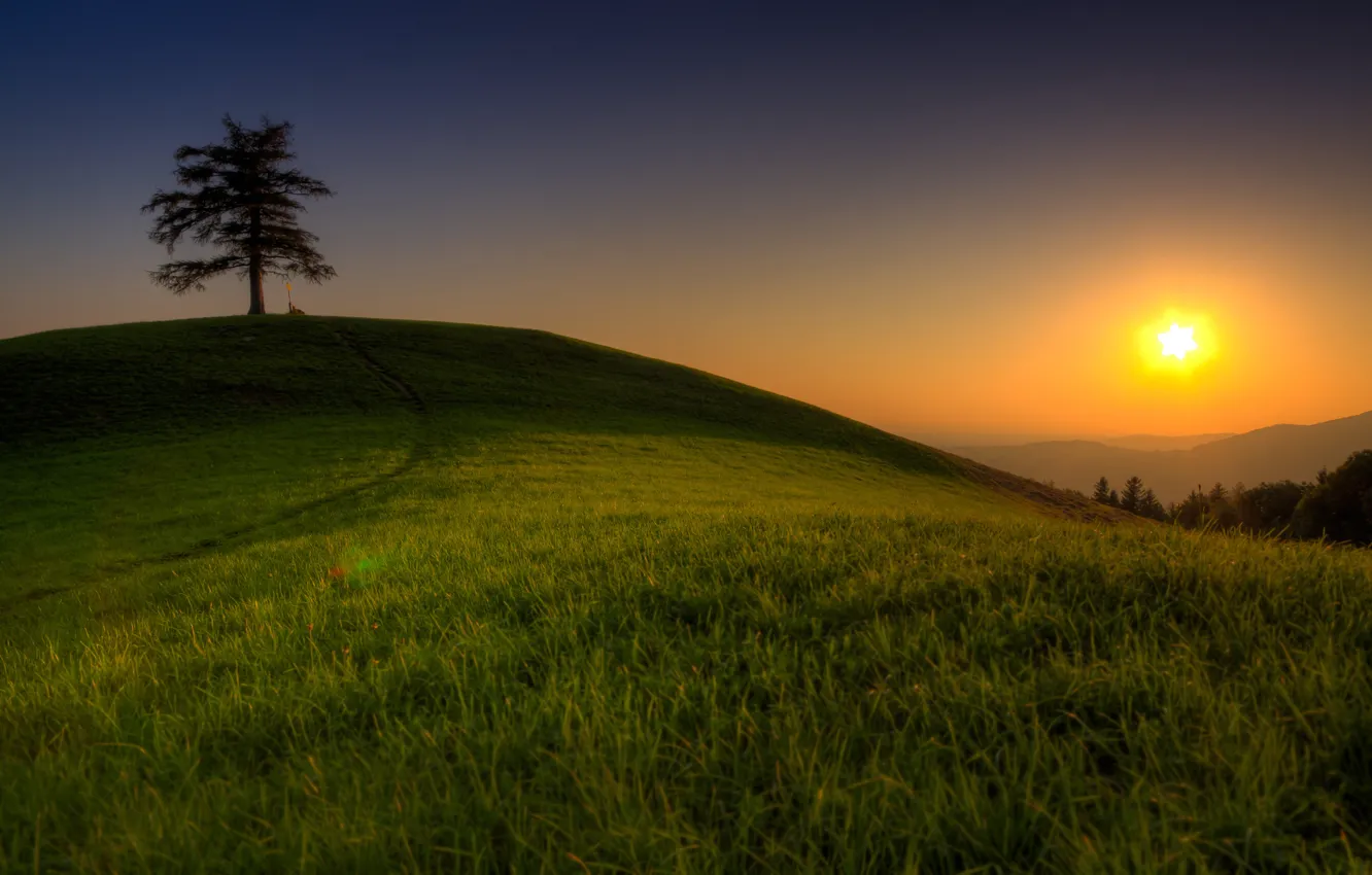Фото обои зелень, небо, трава, солнце, свет, деревья, горы, природа