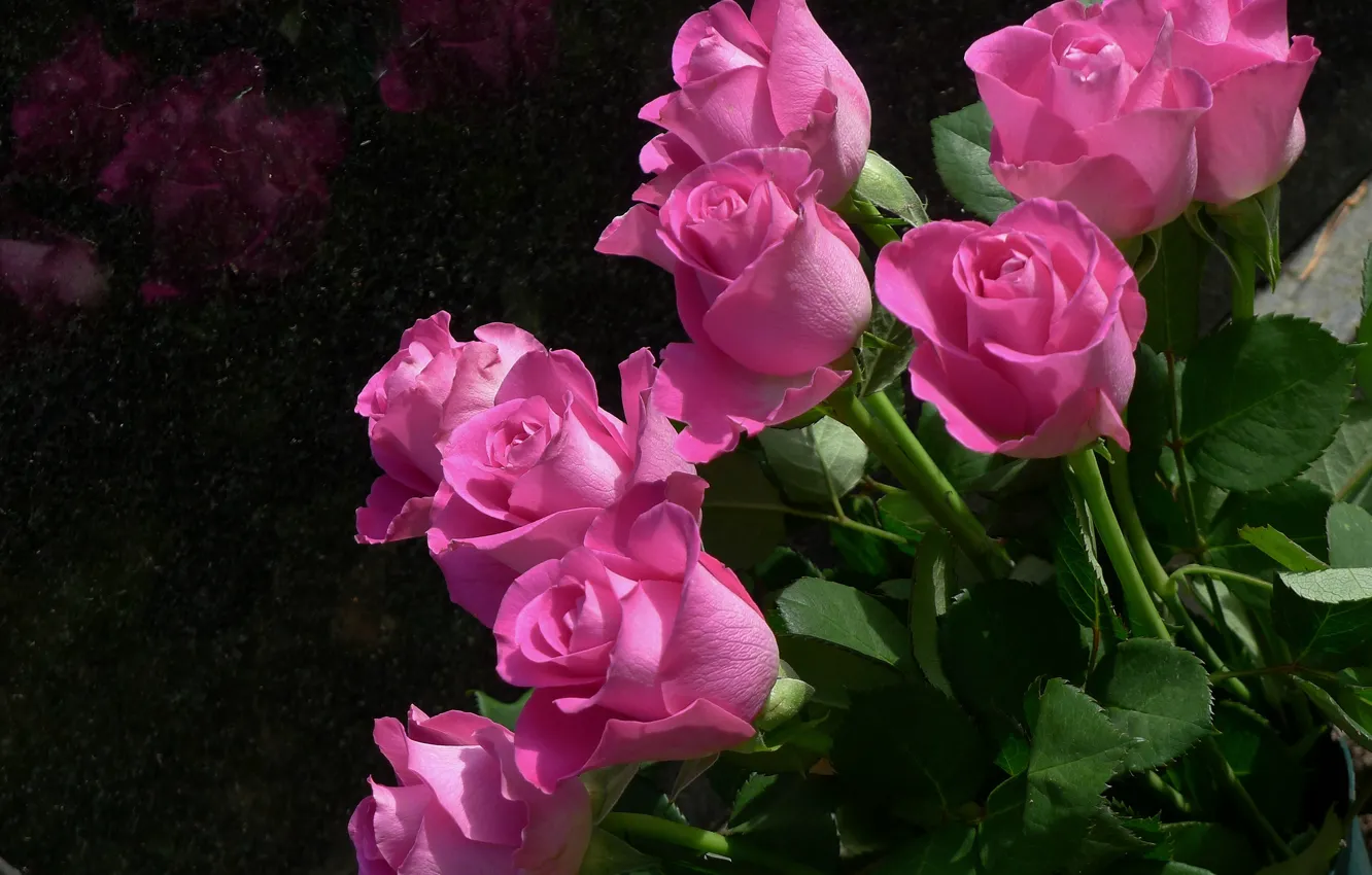 Фото обои цветы, розы, букет, лепестки, розовые, бутоны