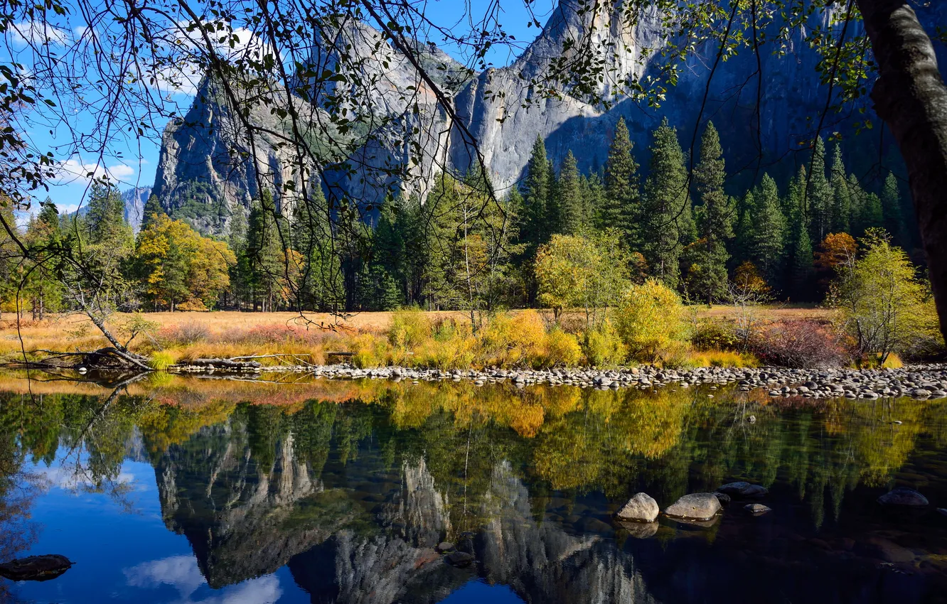 Фото обои вода, деревья, горы, ветки, отражение, камни, скалы, берег
