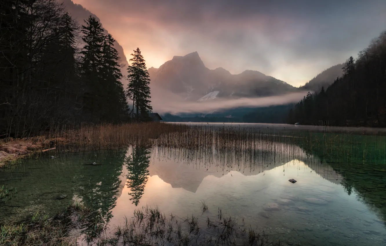 Фото обои лес, горы, отражение, водоем