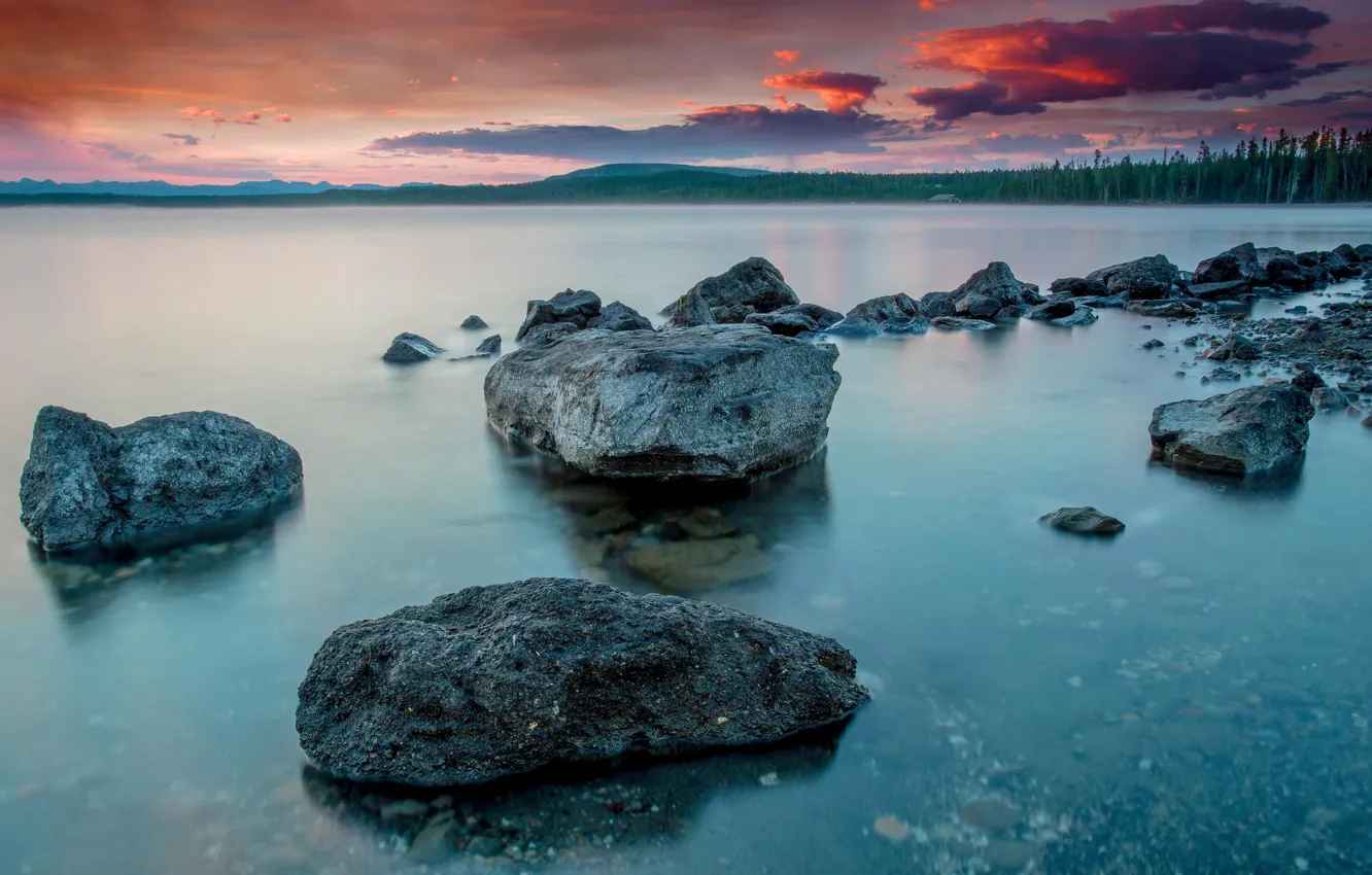 Фото обои лес, закат, природа, озеро, камни, Yellowstone lake, Yellowstone national park