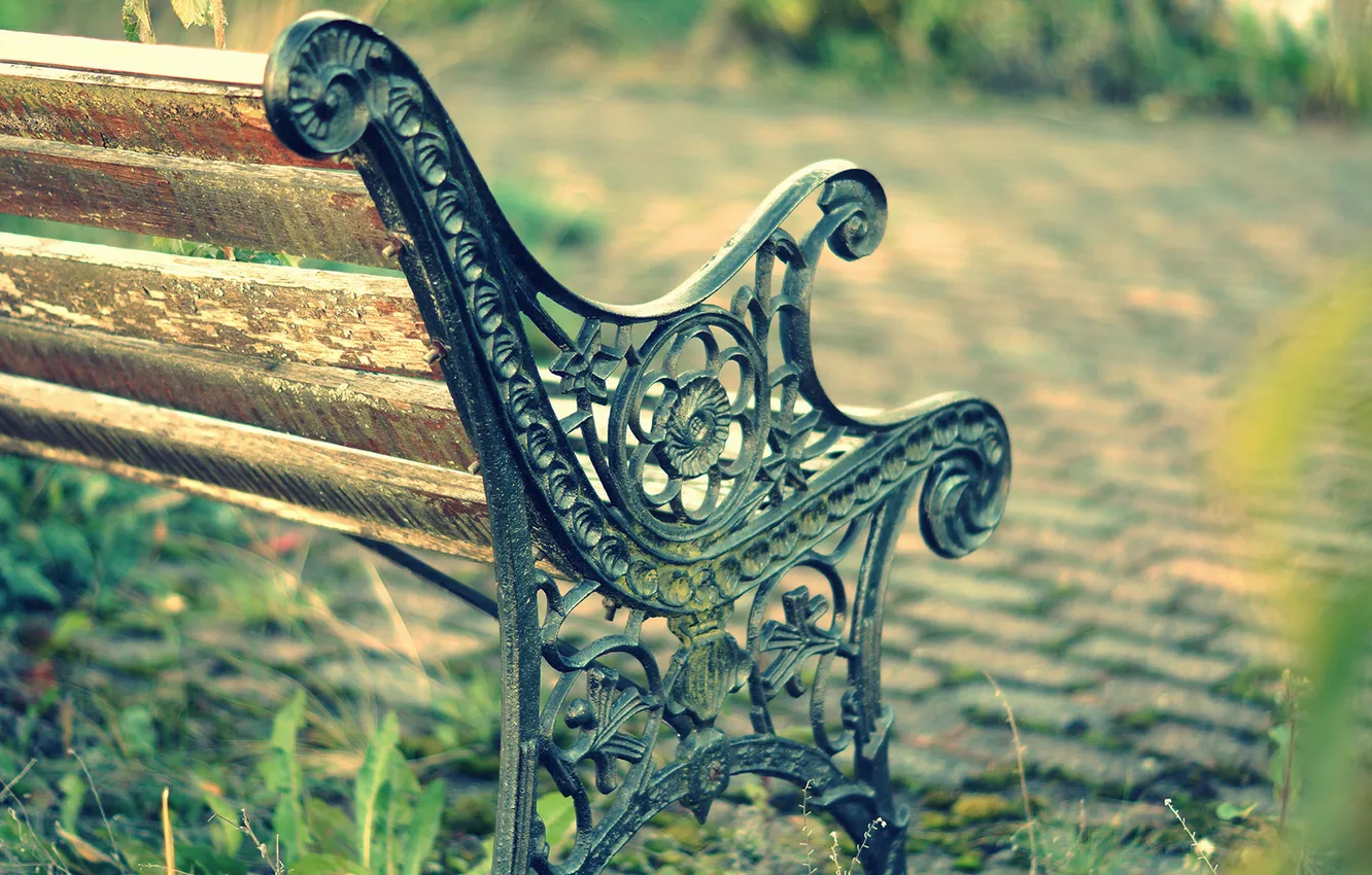 Фото обои скамейка, металл, парк, узор, лавочка, лавка, ковка