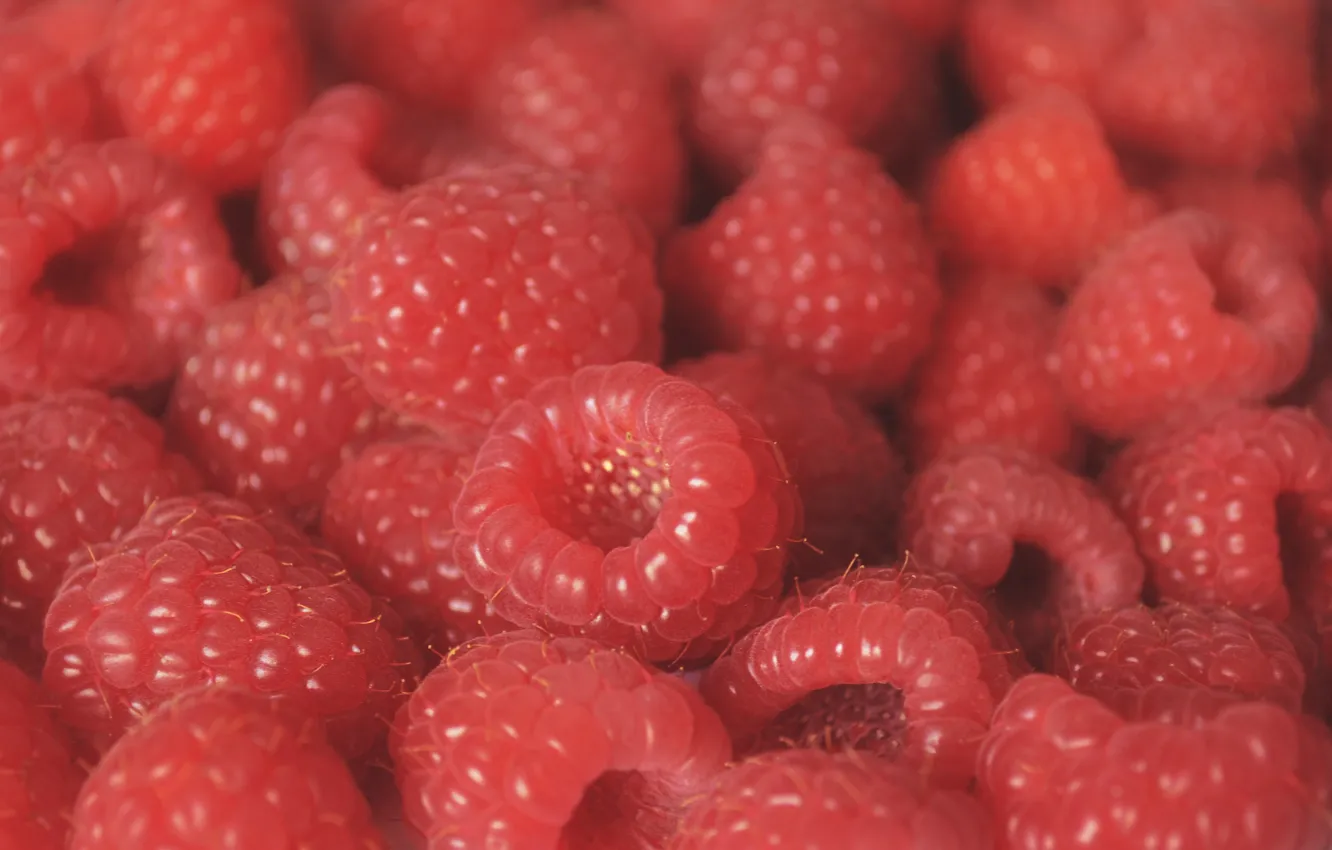 Фото обои макро, ягоды, малина