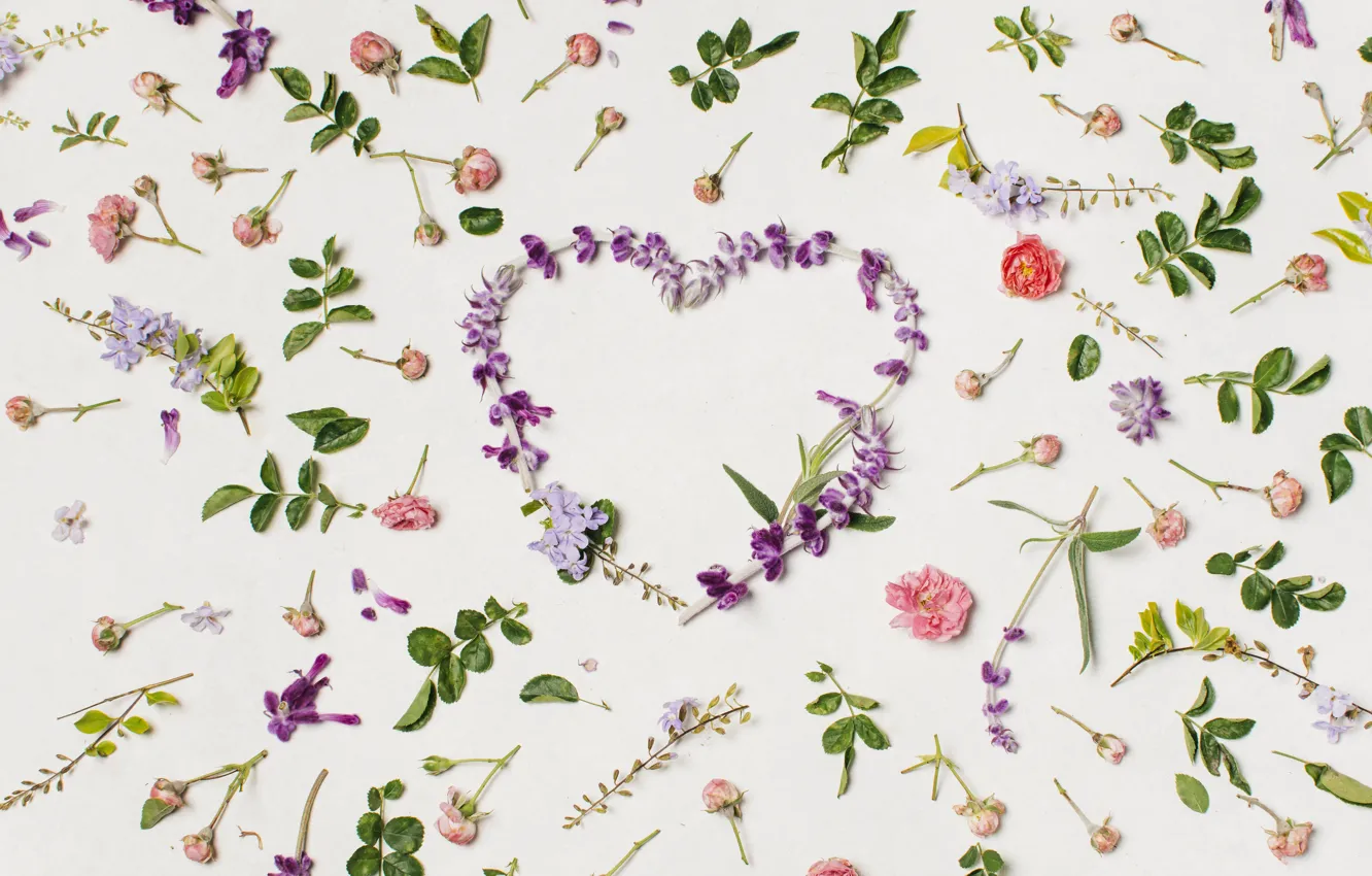 Фото обои любовь, цветы, сердце, лепестки, love, heart, pink, flowers