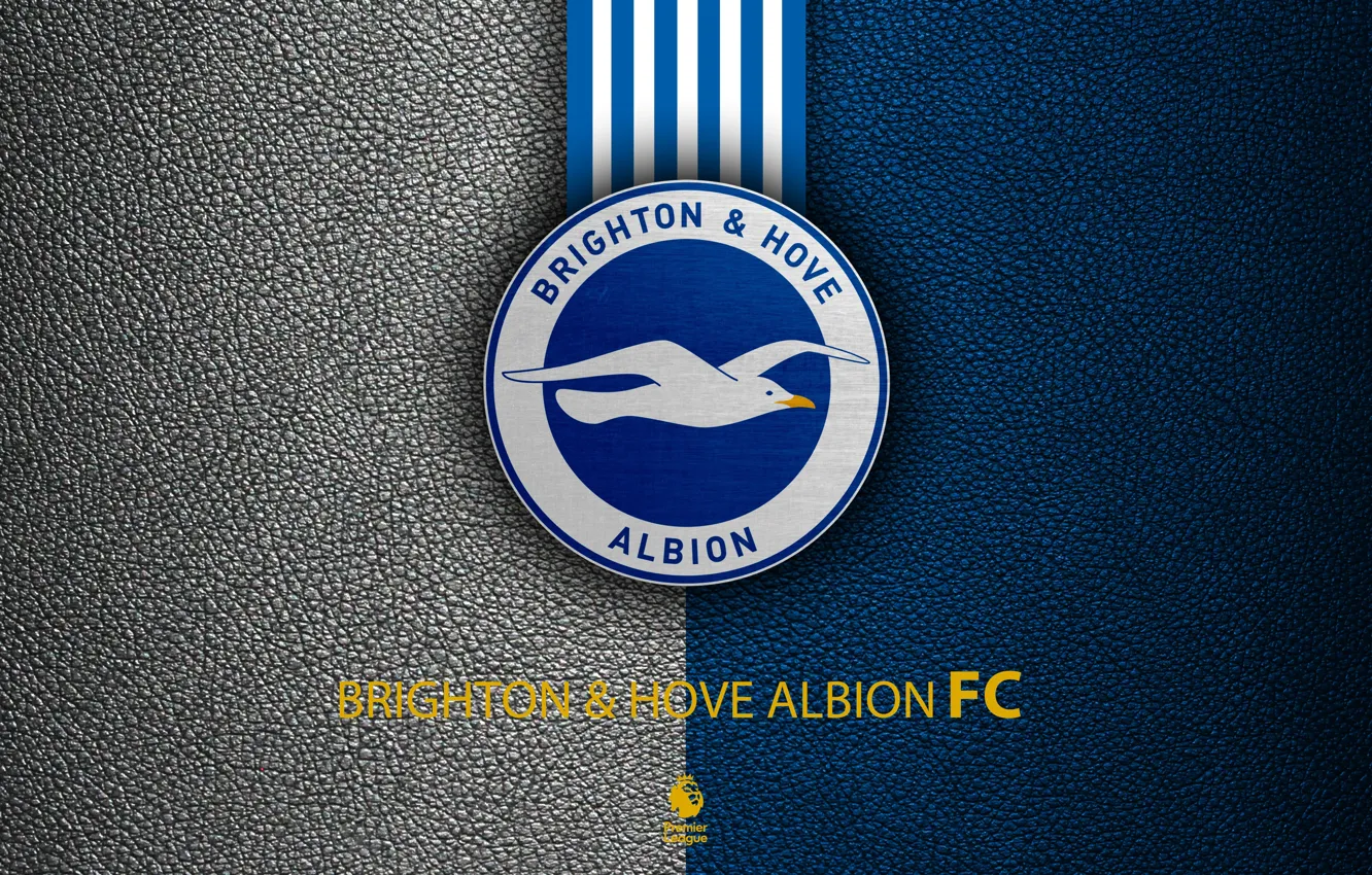 Фото обои wallpaper, sport, logo, football, English Premier League, Brighton and Hove Albion