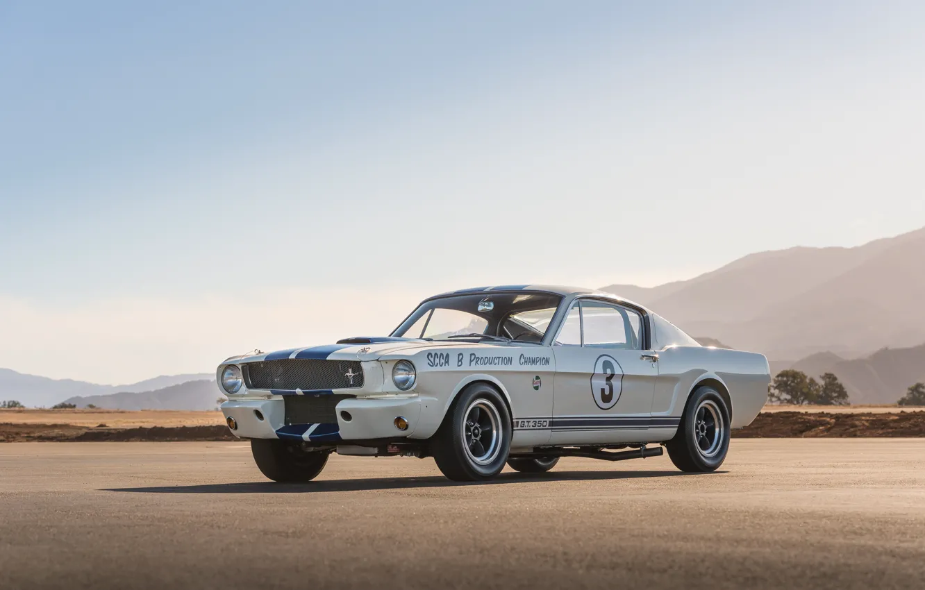 Фото обои Mustang, Ford, Shelby, 1965, GT350, Shelby GT350