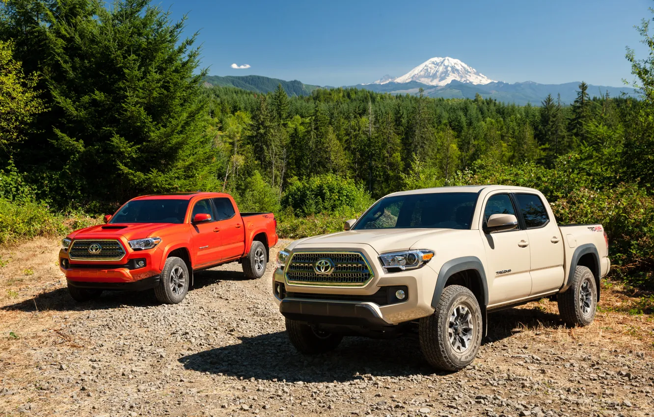 Фото обои Toyota, Sport, Автомобили, TRD, Tacoma, 2016