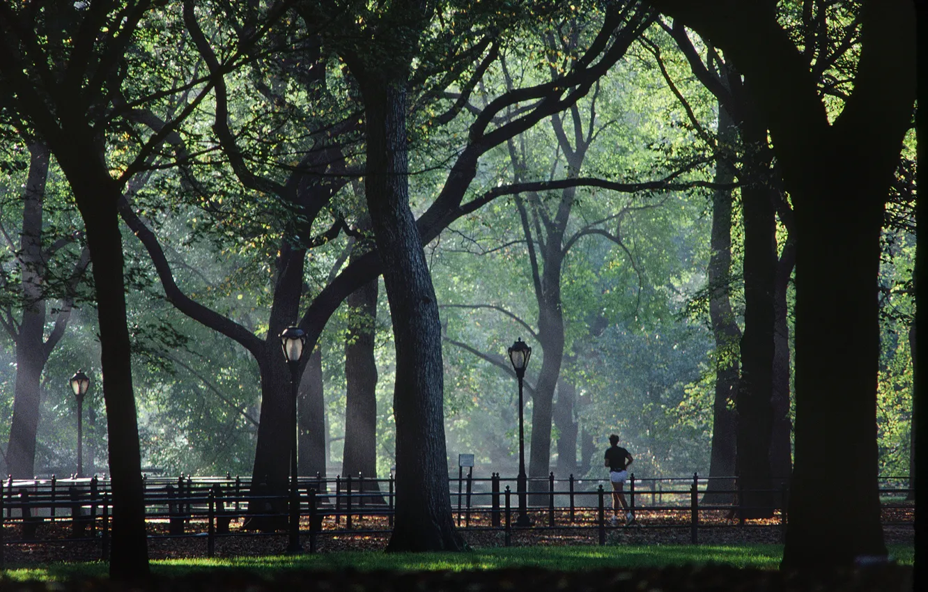 Фото обои USA, grass, trees, New York, Manhattan, NYC, park, New York City