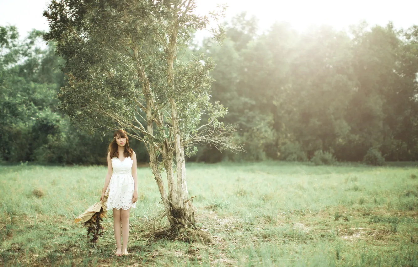 Фото обои поле, девушка, дерево