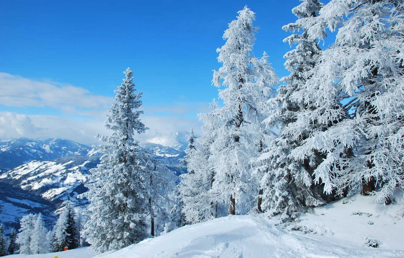 Фото обои зима, лес, снег, природа, австрия