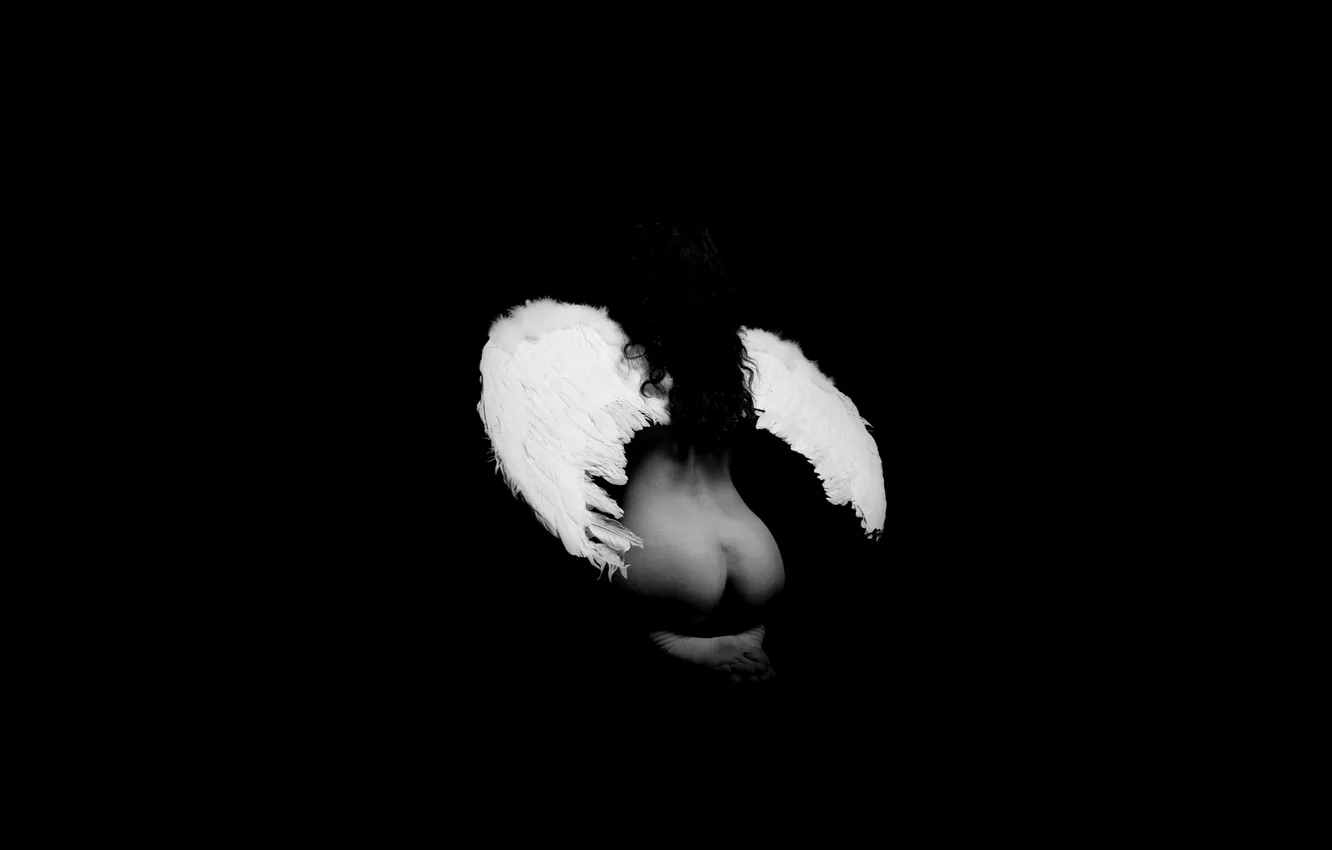 Фото обои фон, чёрный, спина, крылья, белые