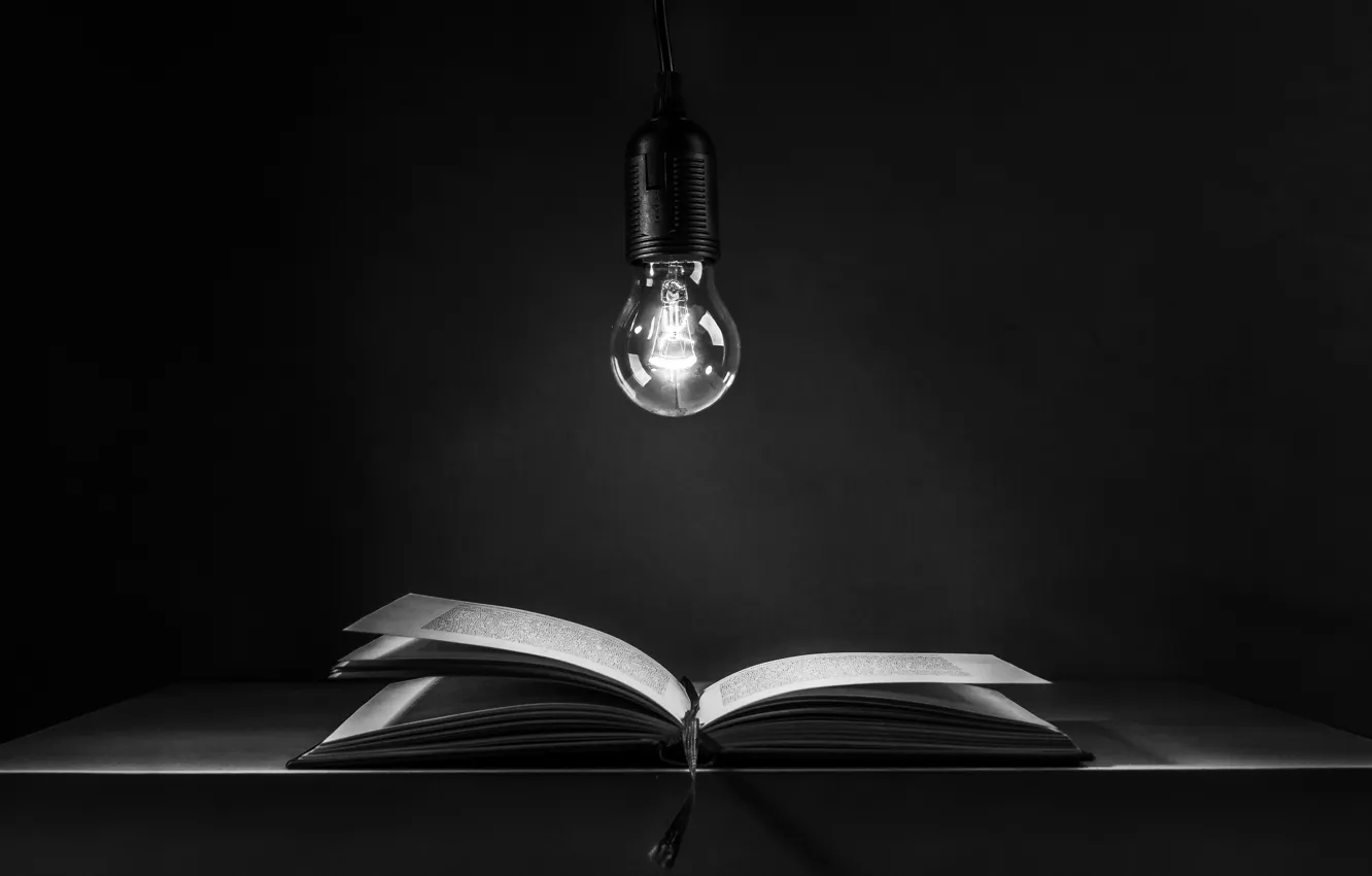 Фото обои лампочка, книга, book, light bulb, Ute Scherhag, неучение - тьма, учение - свет, teaching - …