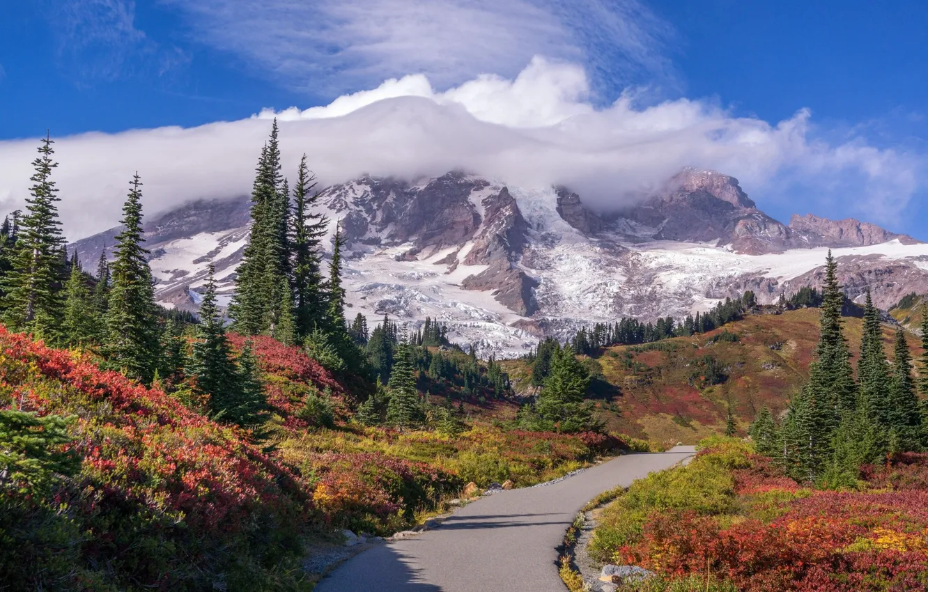 Фото обои дорога, облака, пейзаж, горы, природа, Mount Rainier National Park