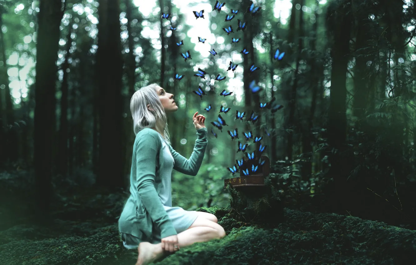 Фото обои лес, девушка, бабочки
