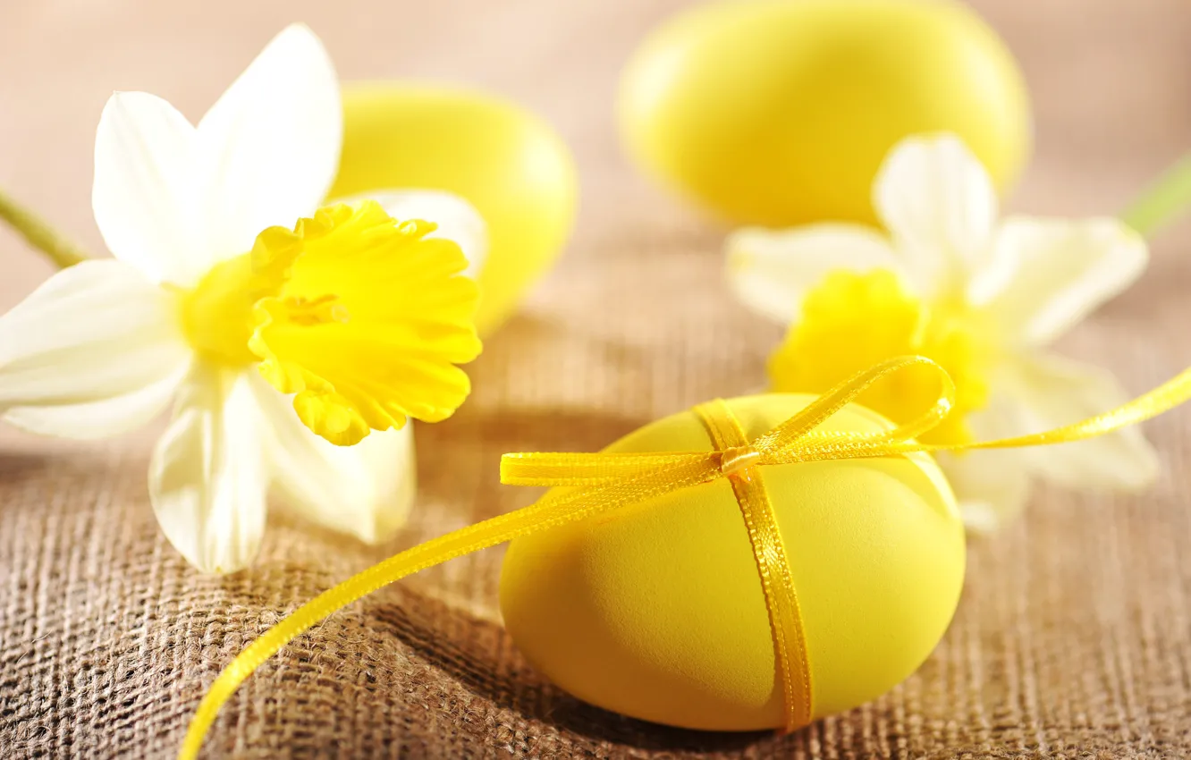 Фото обои цветы, яйца, Пасха, flowers, нарциссы, spring, Easter, eggs