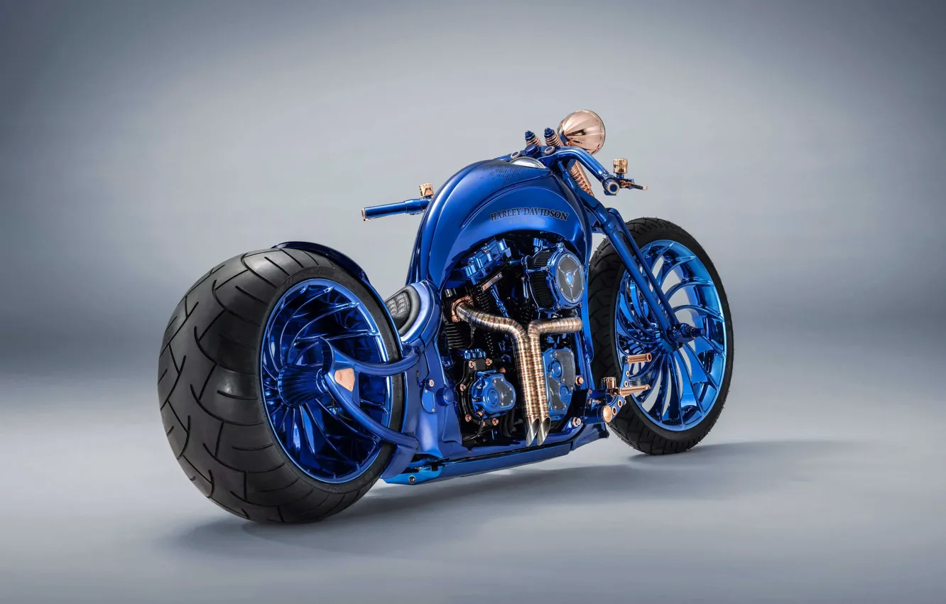 Фото обои Davidson, Harley, Harley Davidson, Custom, Harley Davidson Blue Edition Custom, Blue Edition