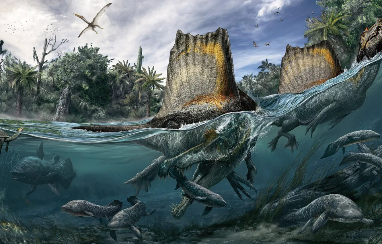 Фото обои Spinosaurus, шипастый ящер, Меловой период, Спинозавр, представитель семейства спинозаврид