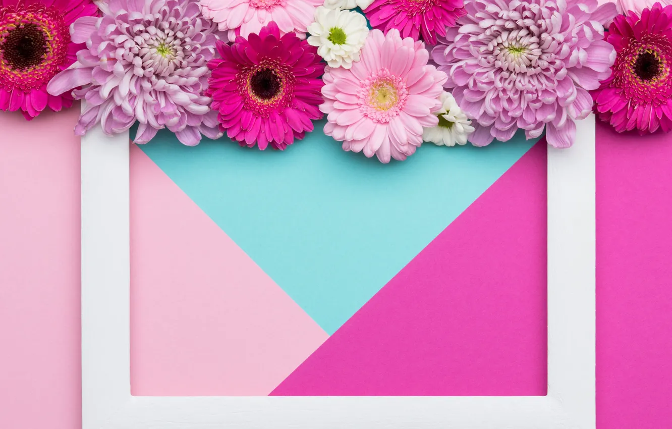 Фото обои цветы, фон, розовый, праздник, голубой, треугольники, цвет, букет
